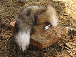 Anal Foxtail Plug™
